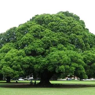 女人高姿态丽宝