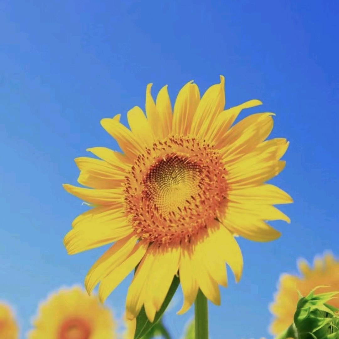 时光与我