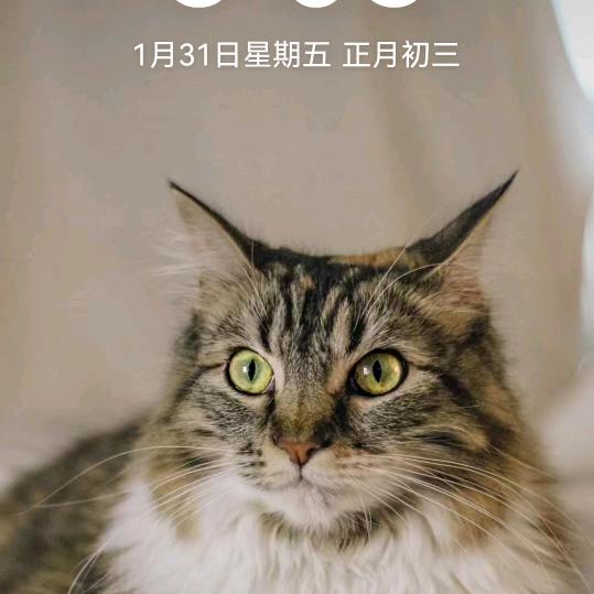 不敢想