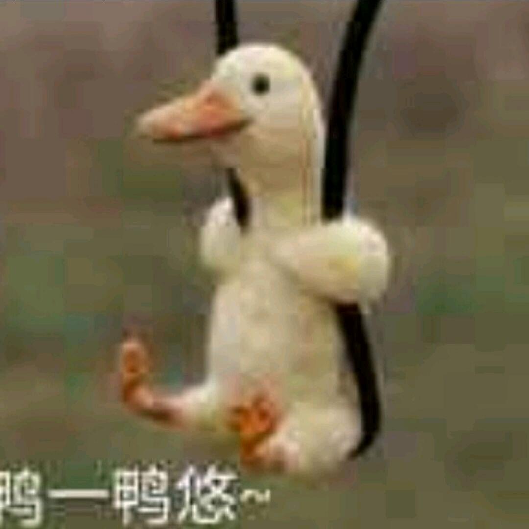 呆头鹅-拉屎大王
