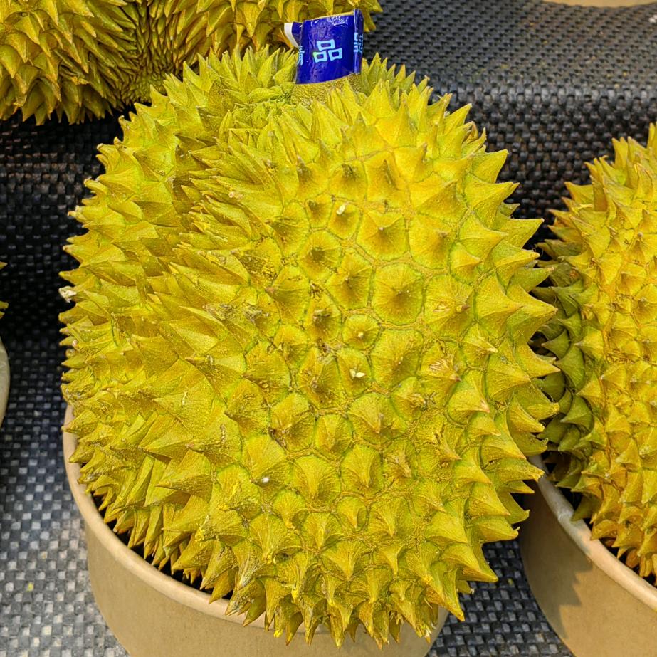 鲜果园品质水果