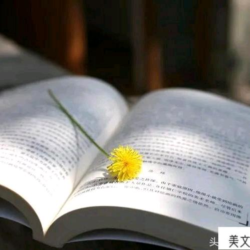 一鹿读书