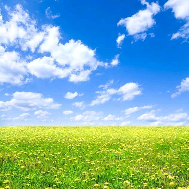 遇见更好的兰兰