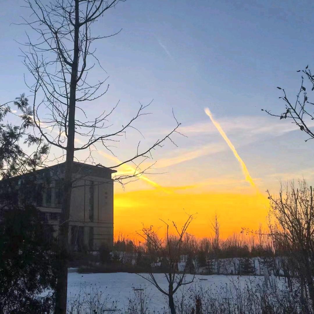 星夜（三角洲行动）