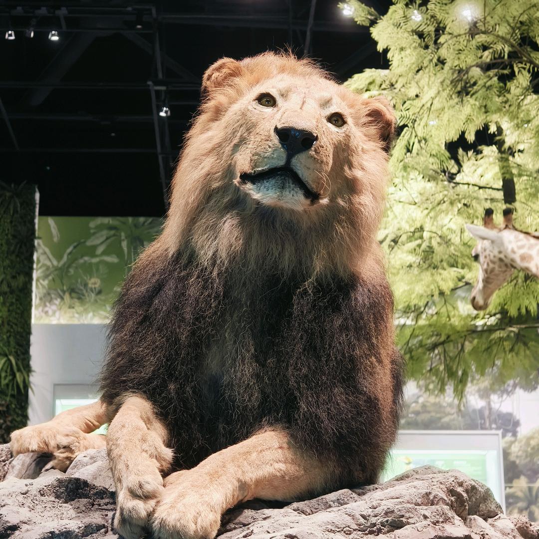 来些财亿(🐮🐴版)