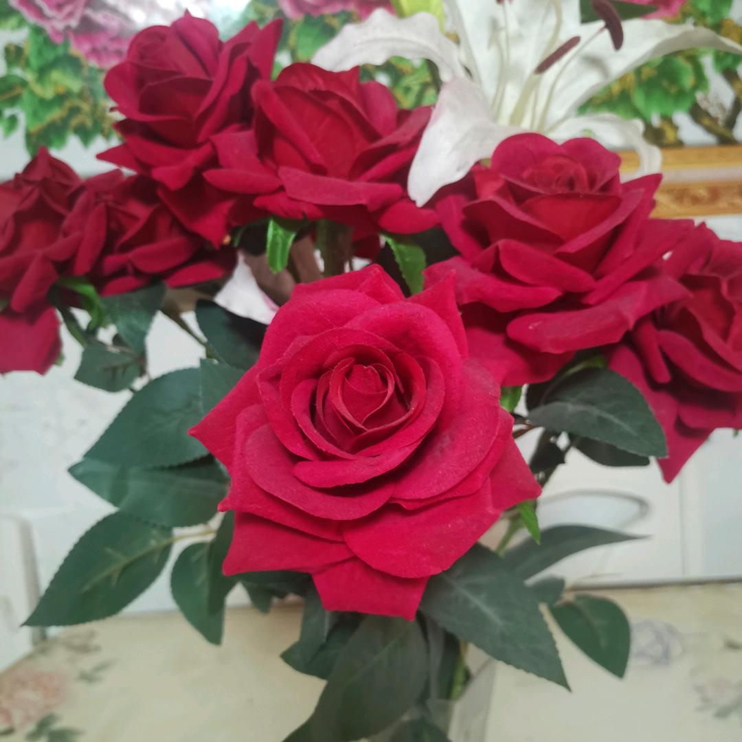 美丽人生🌹