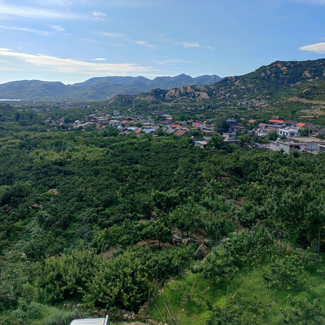 就是你