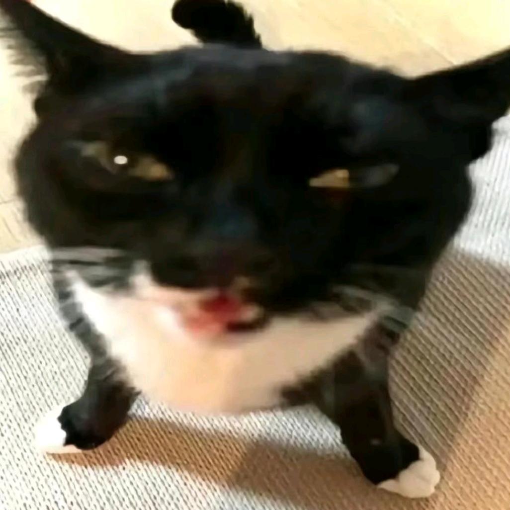狼王丧彪
