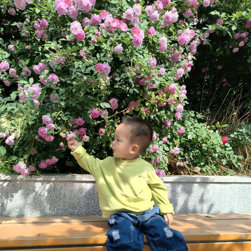 明天，你好