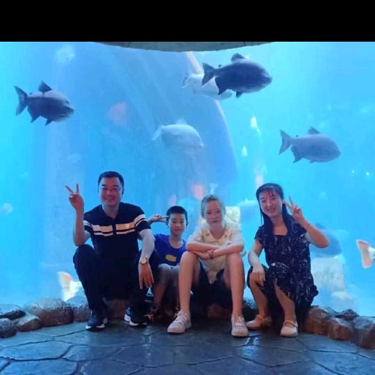 我爱我选
