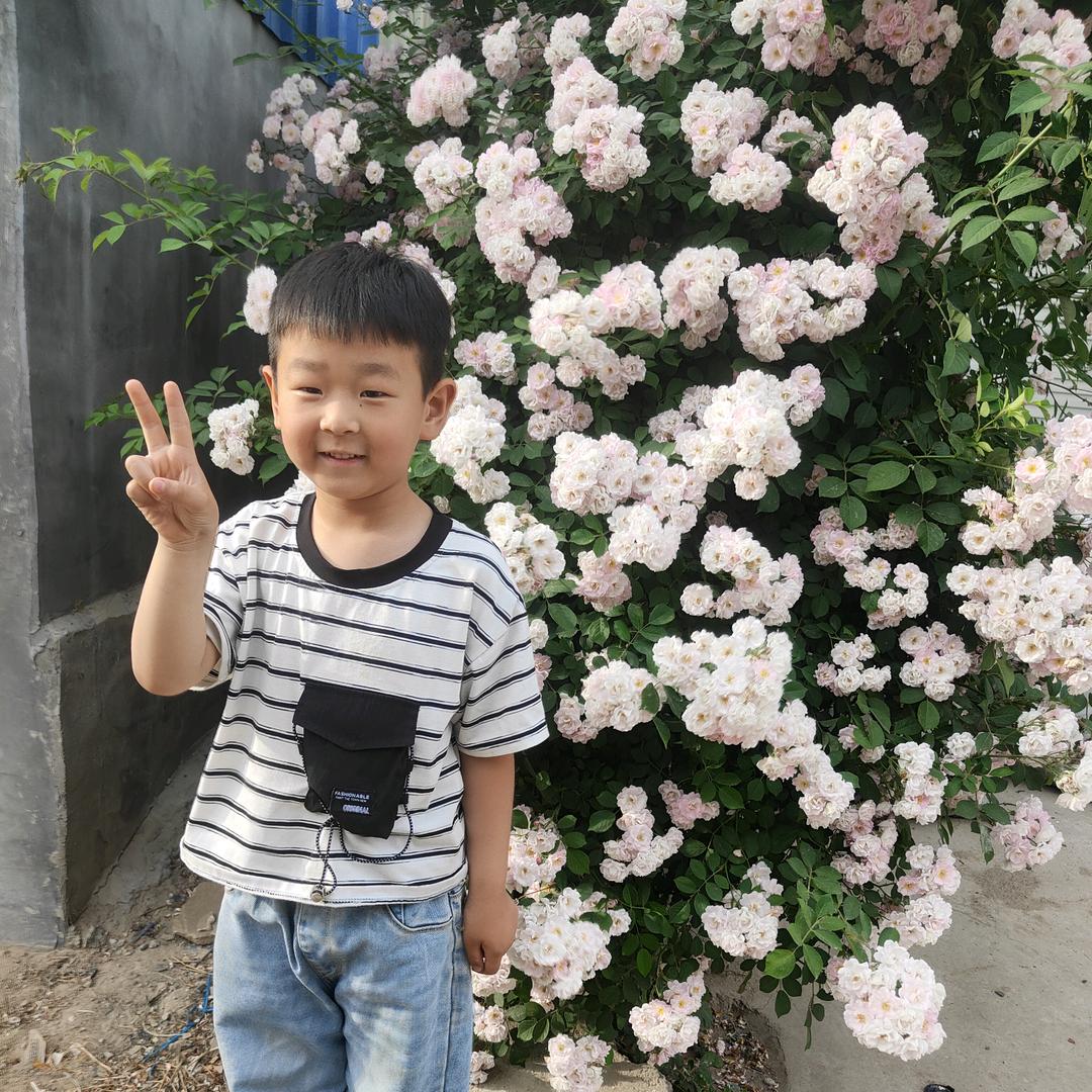 木子～Li
