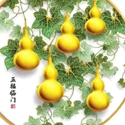 鸿雁