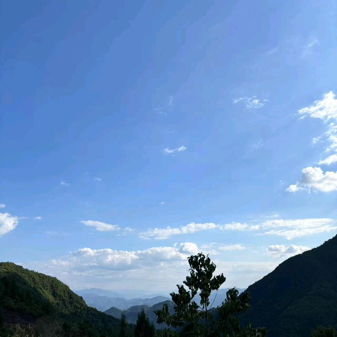 燕～子