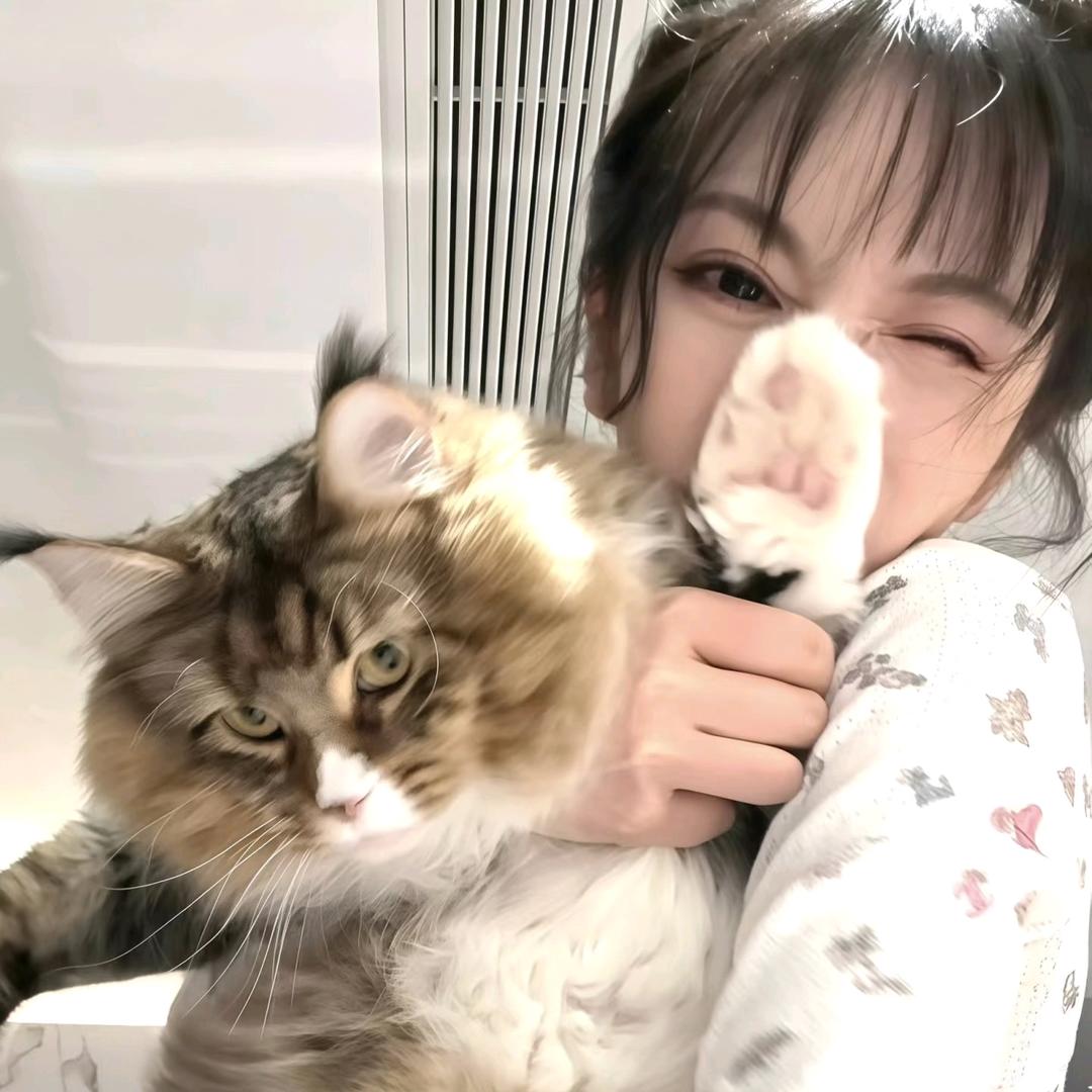 河南专升本上岸学姐（三门峡篇）