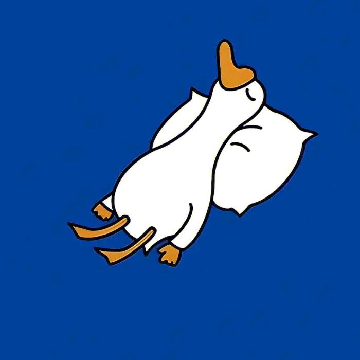zvemiz⁹