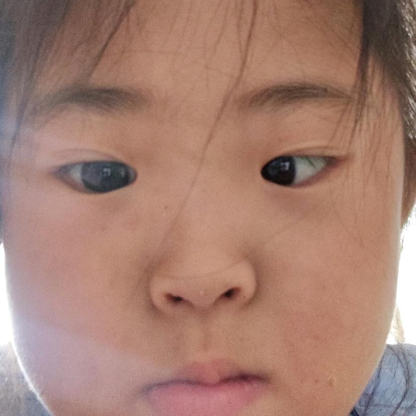 㞏喜欢的会飞。