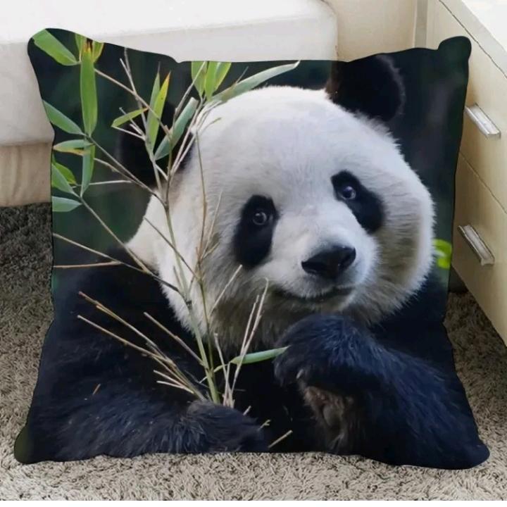 胡桂春