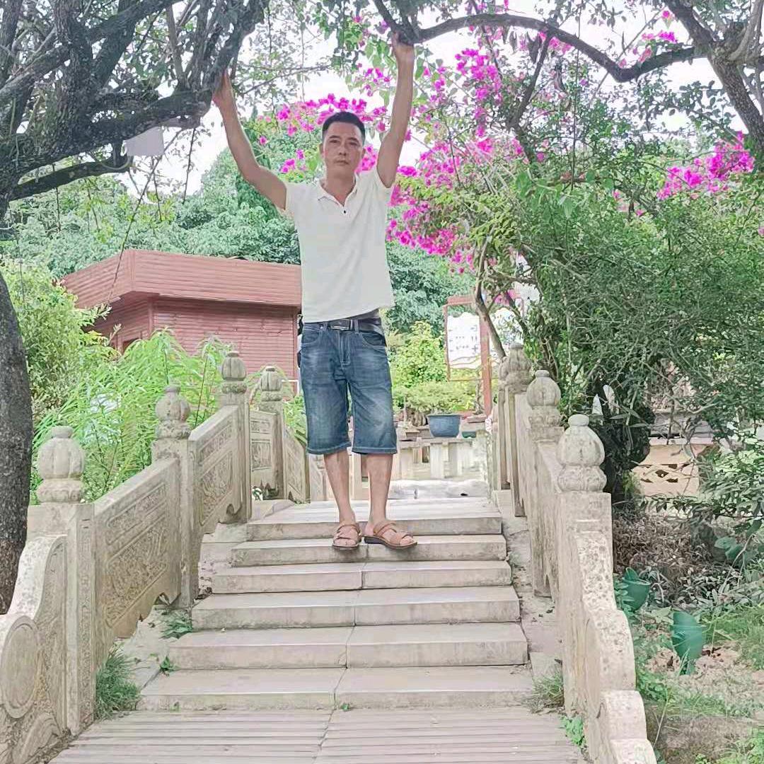 杨大侠