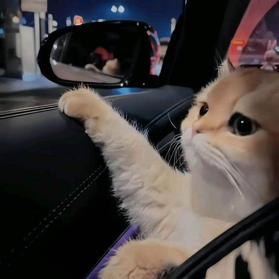 女朋友闻自己臭袜子住进ICU我日夜照顾