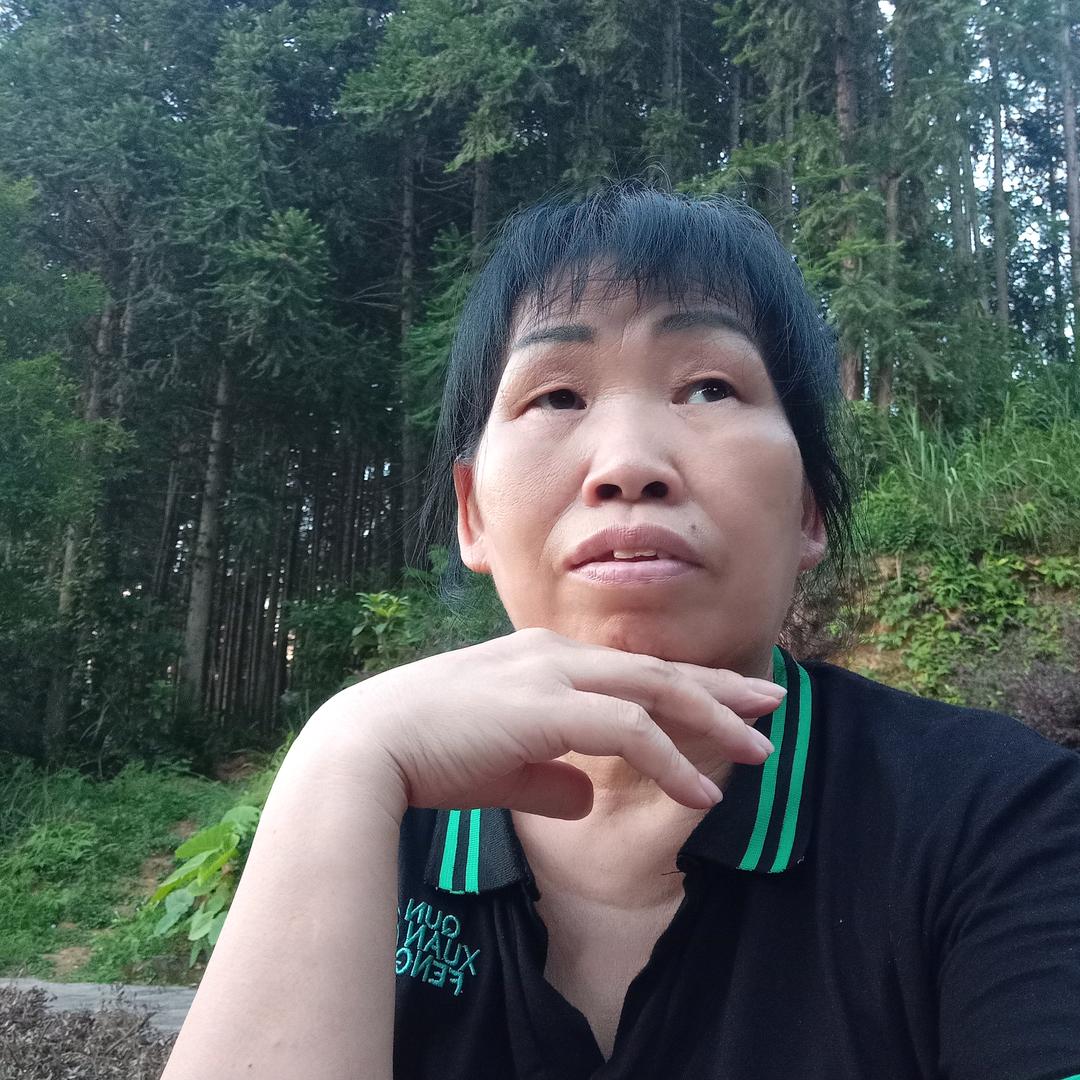 杨二姐(首播筹备中)