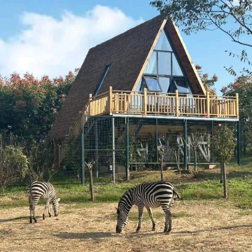 周口野生动物园木屋酒店