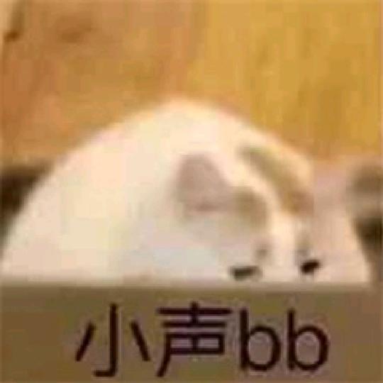 喵喵喵喵喵