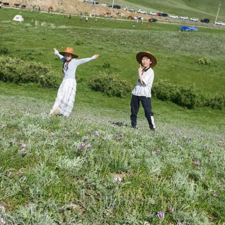 清美