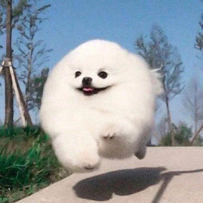 一二一