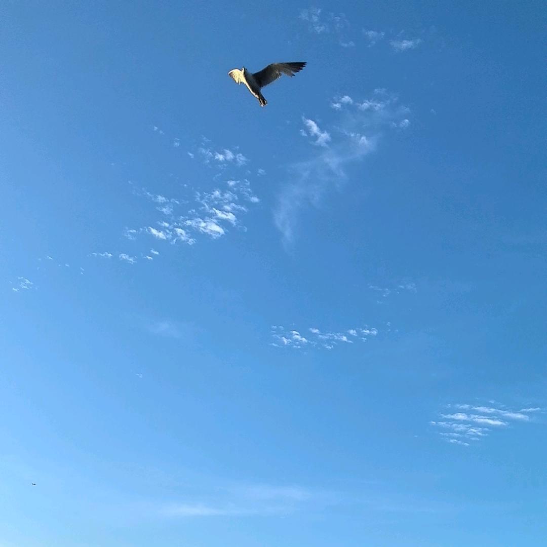 纯粹2464