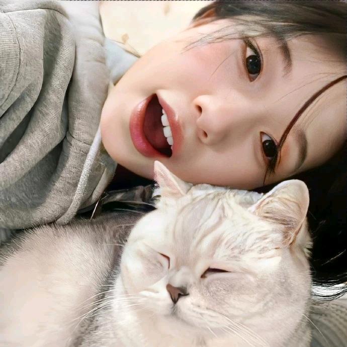 小熊爱睡觉