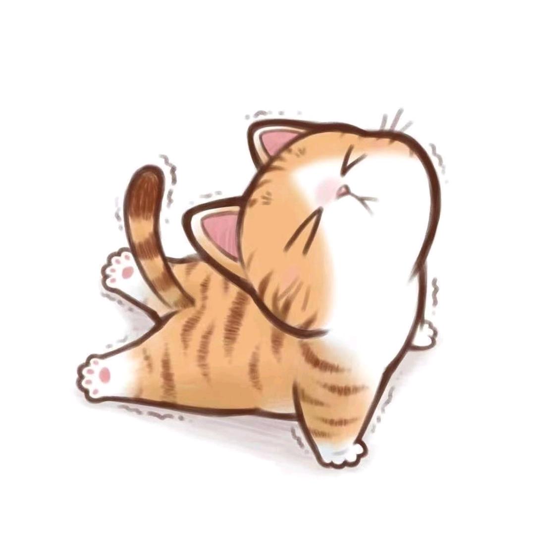 大白是只缅因猫