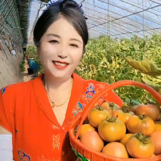 农家院的梅姐