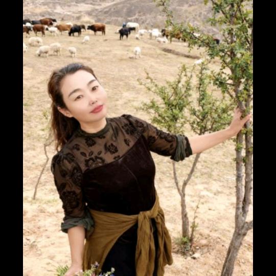 人生何处不相逢