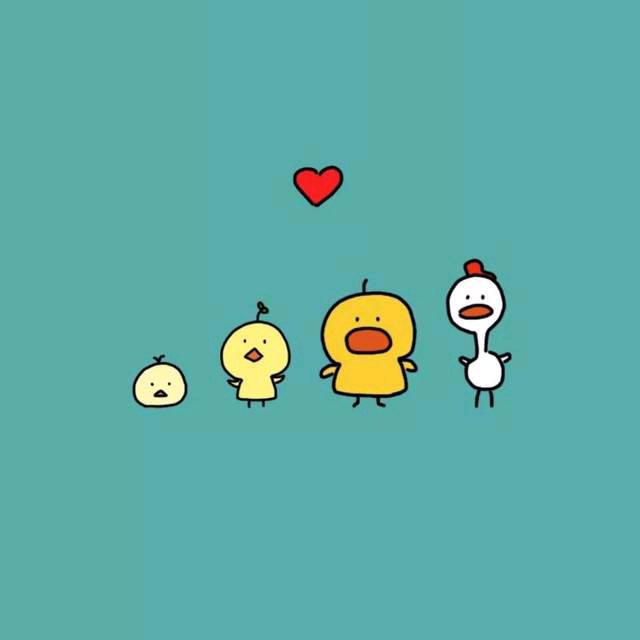 河南姐·在新疆