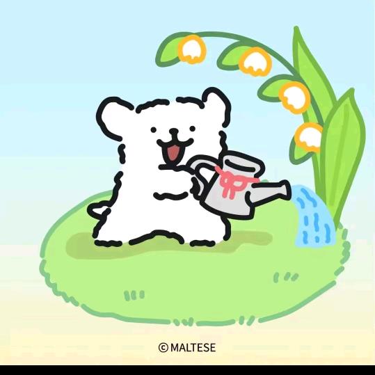 娇娇好物优选