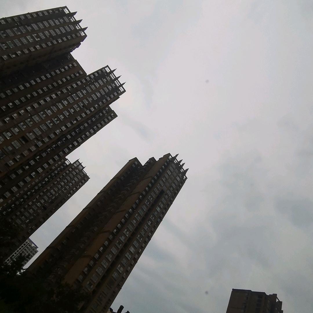 浩.
