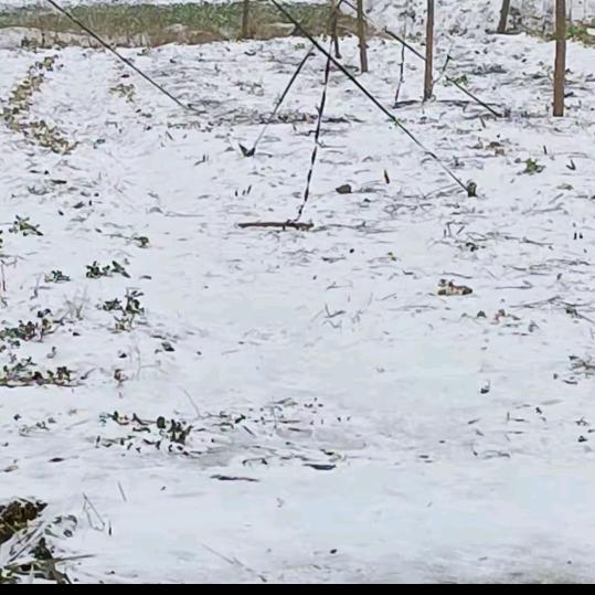 阳光等待风雨后