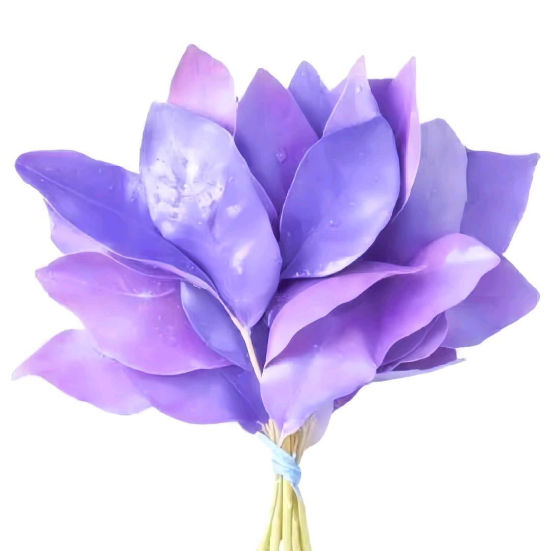 荣华富贵集我一身，钱从四面八方来