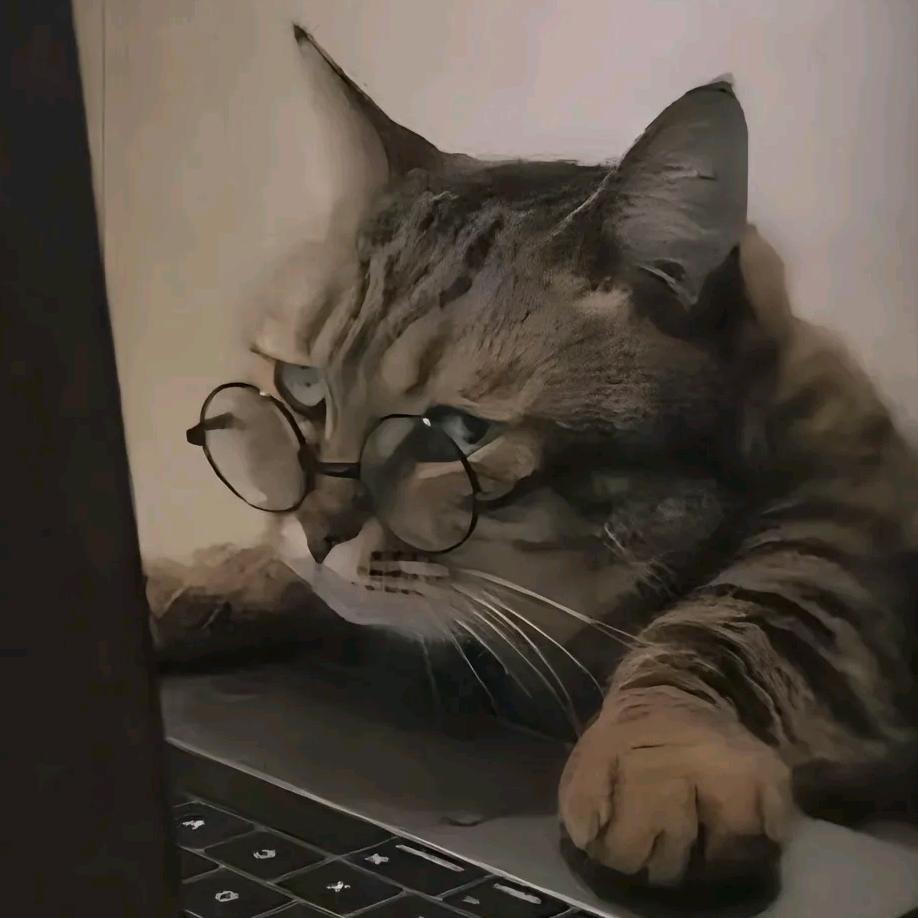 小呆呱