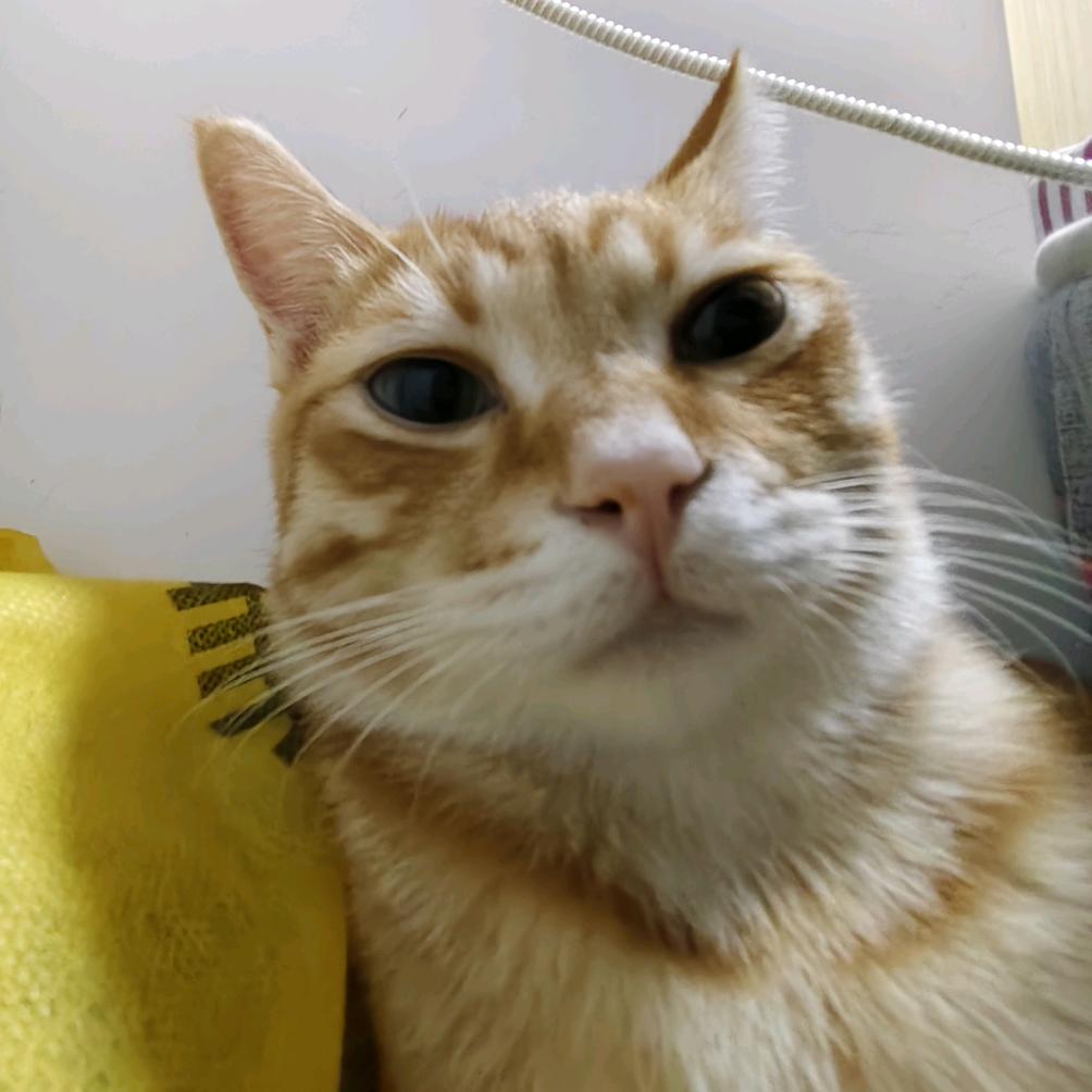 不减30斤不改名