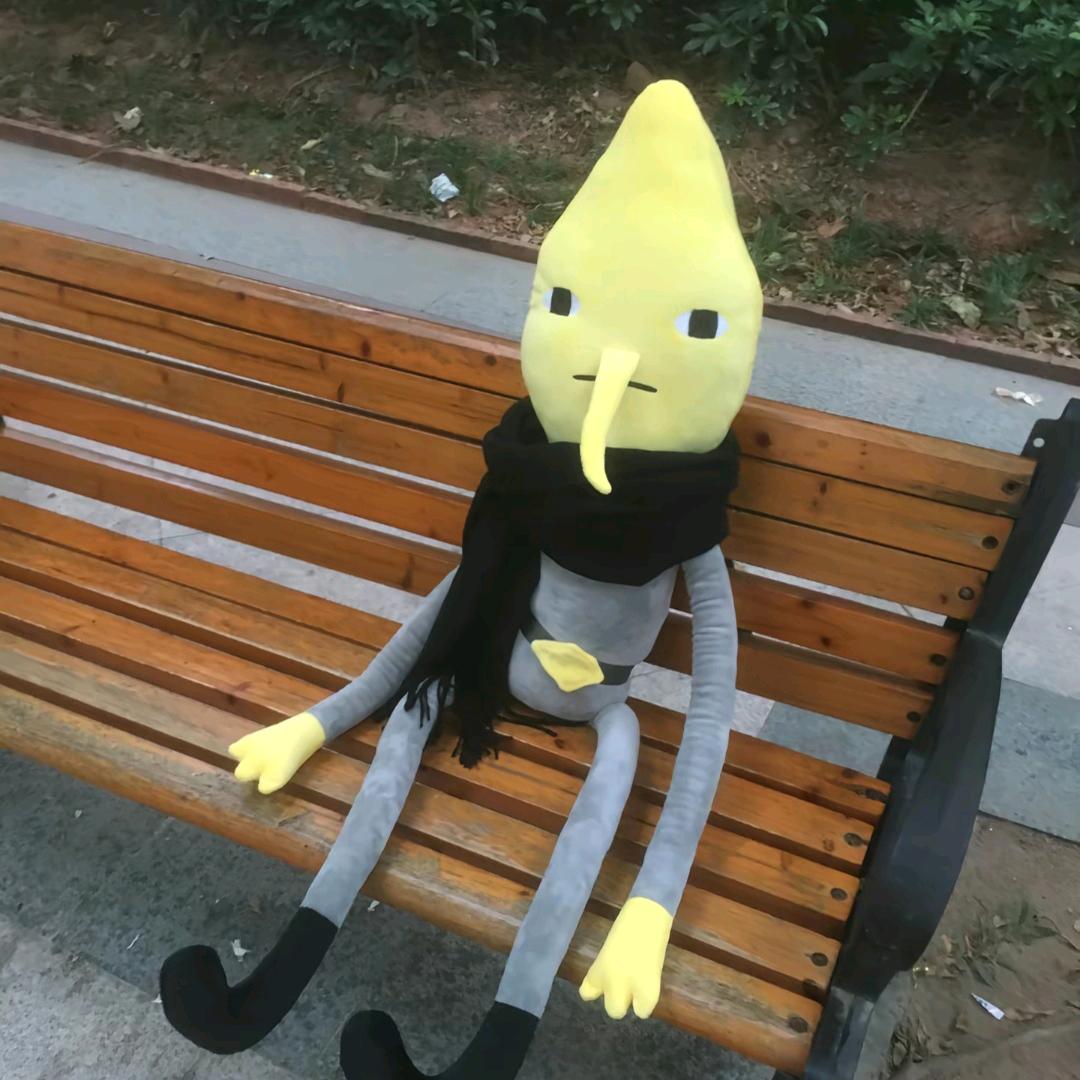 我来看你了