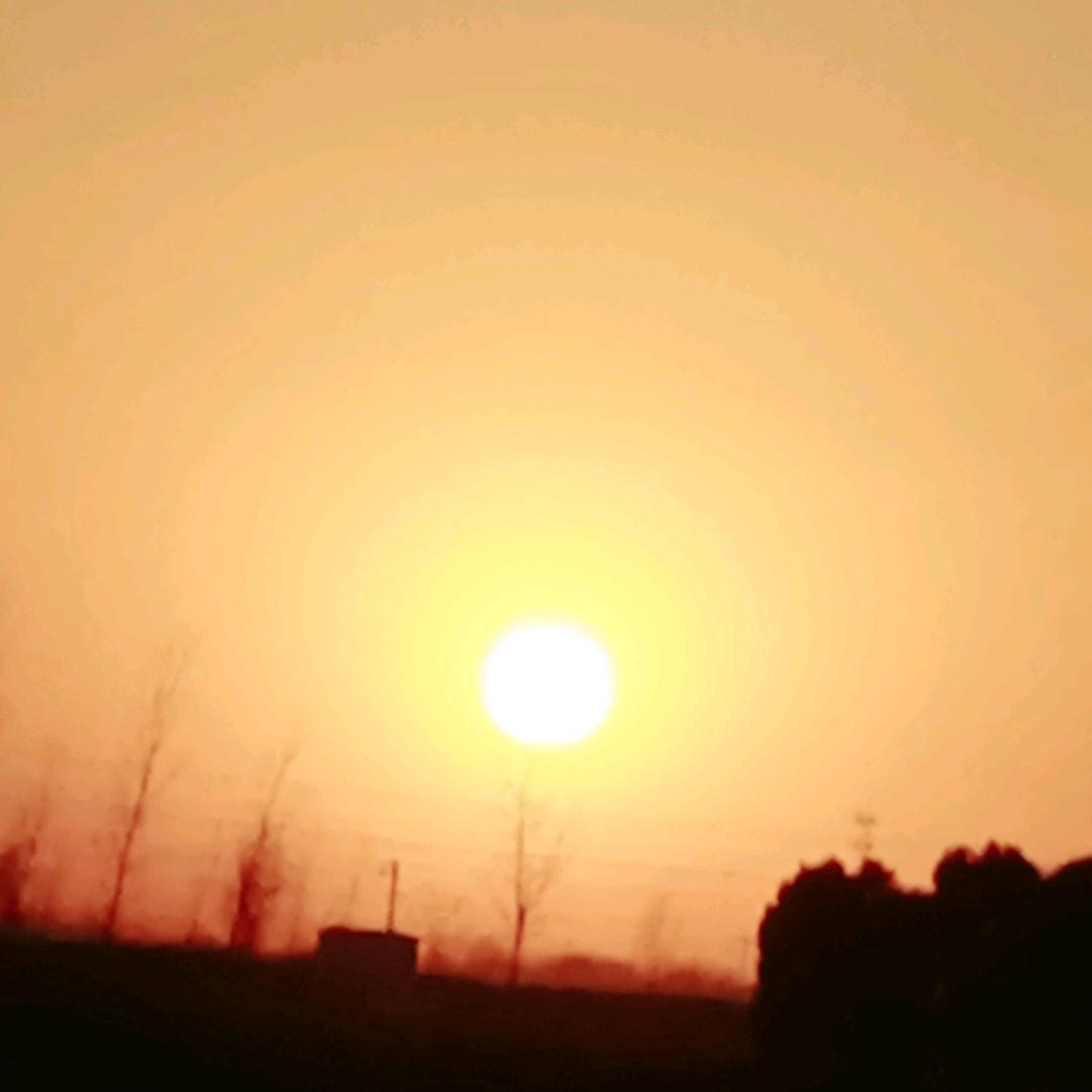 你是真的苟
