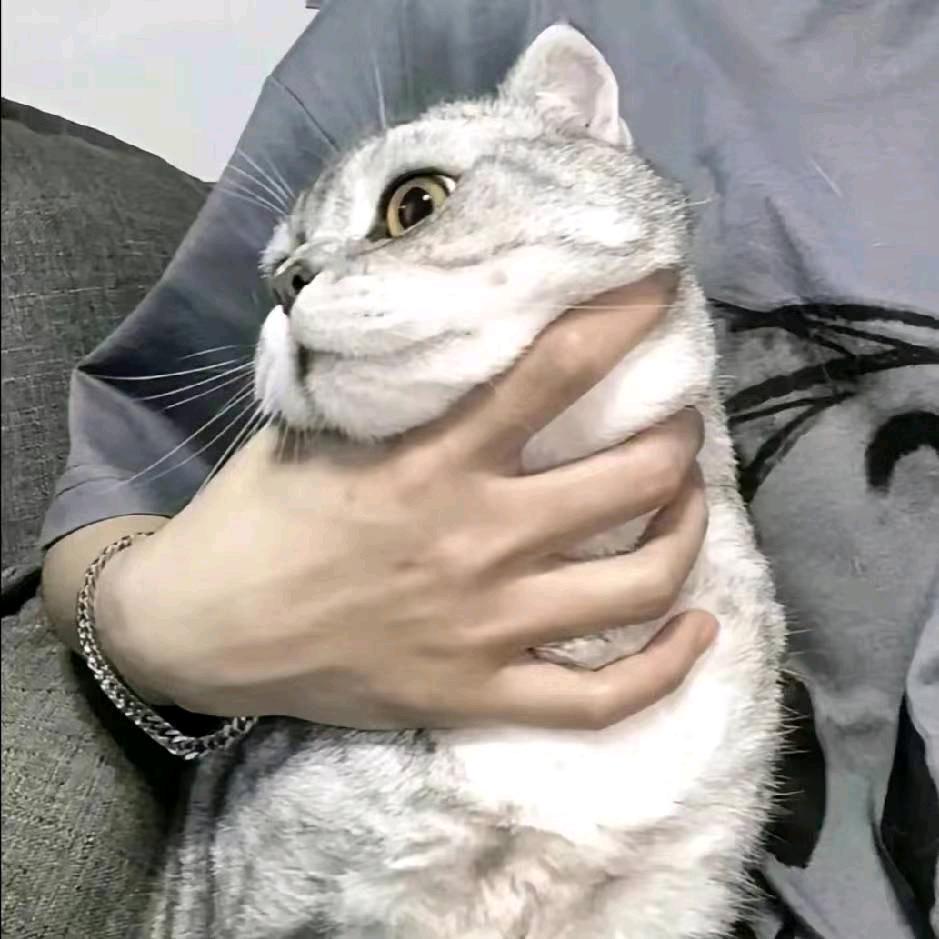 南初