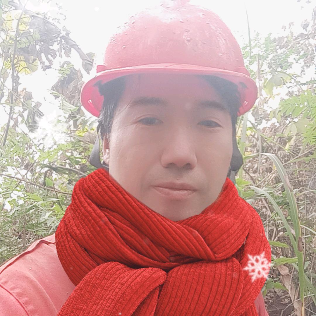 永远爱你不后悔