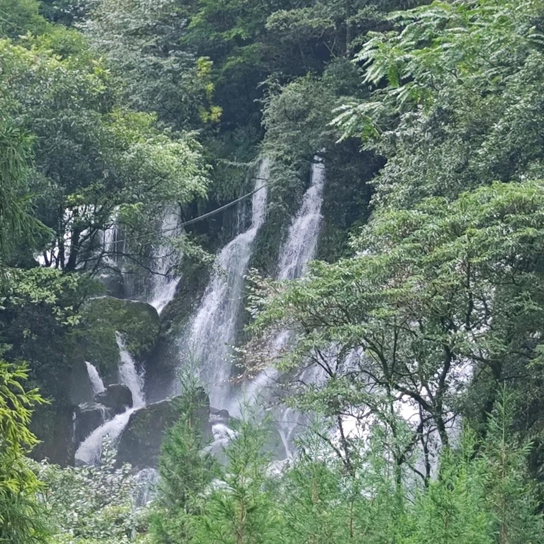 疼熹