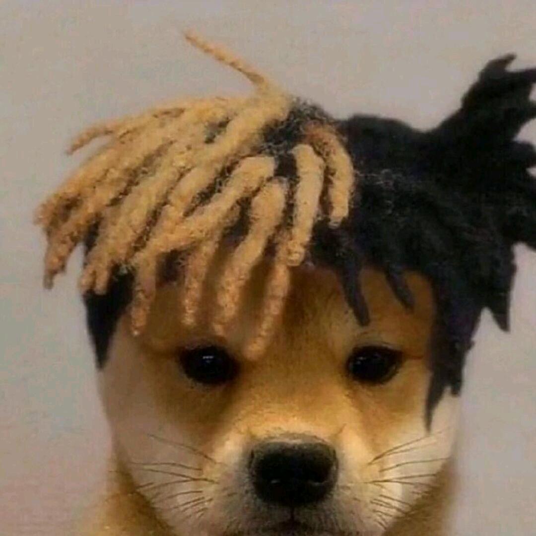 狐狸先生