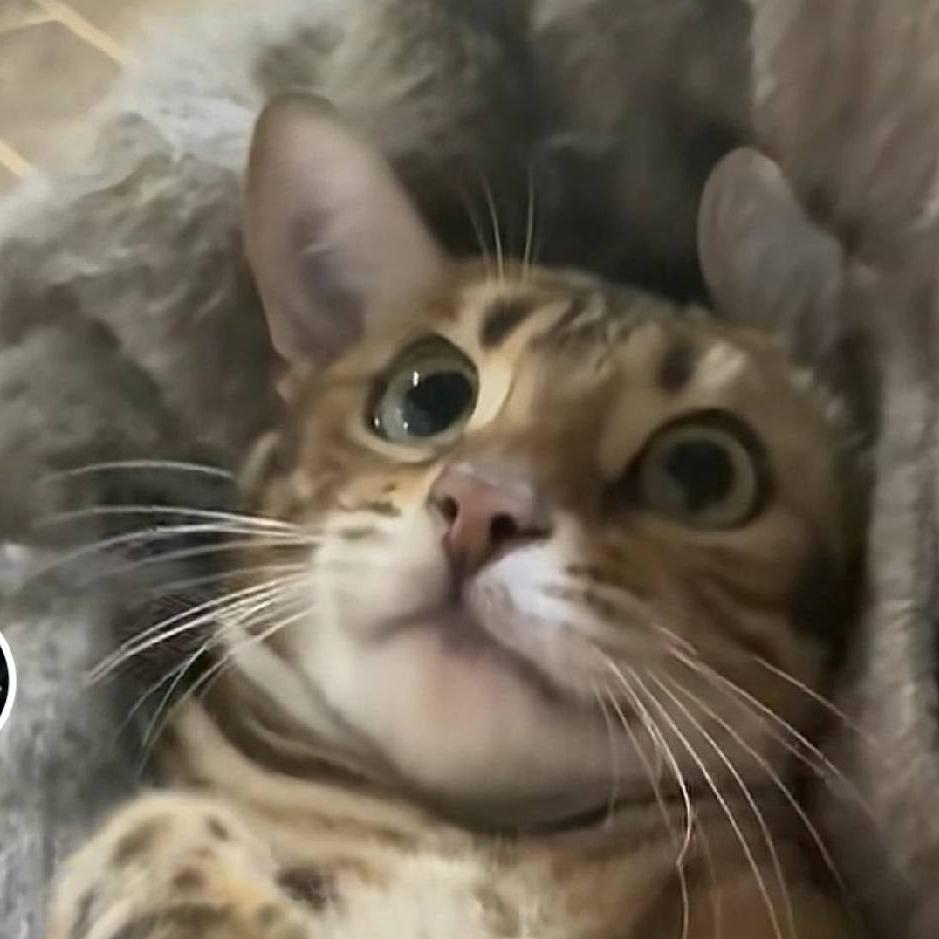 发现女朋友出轨对象竟然是