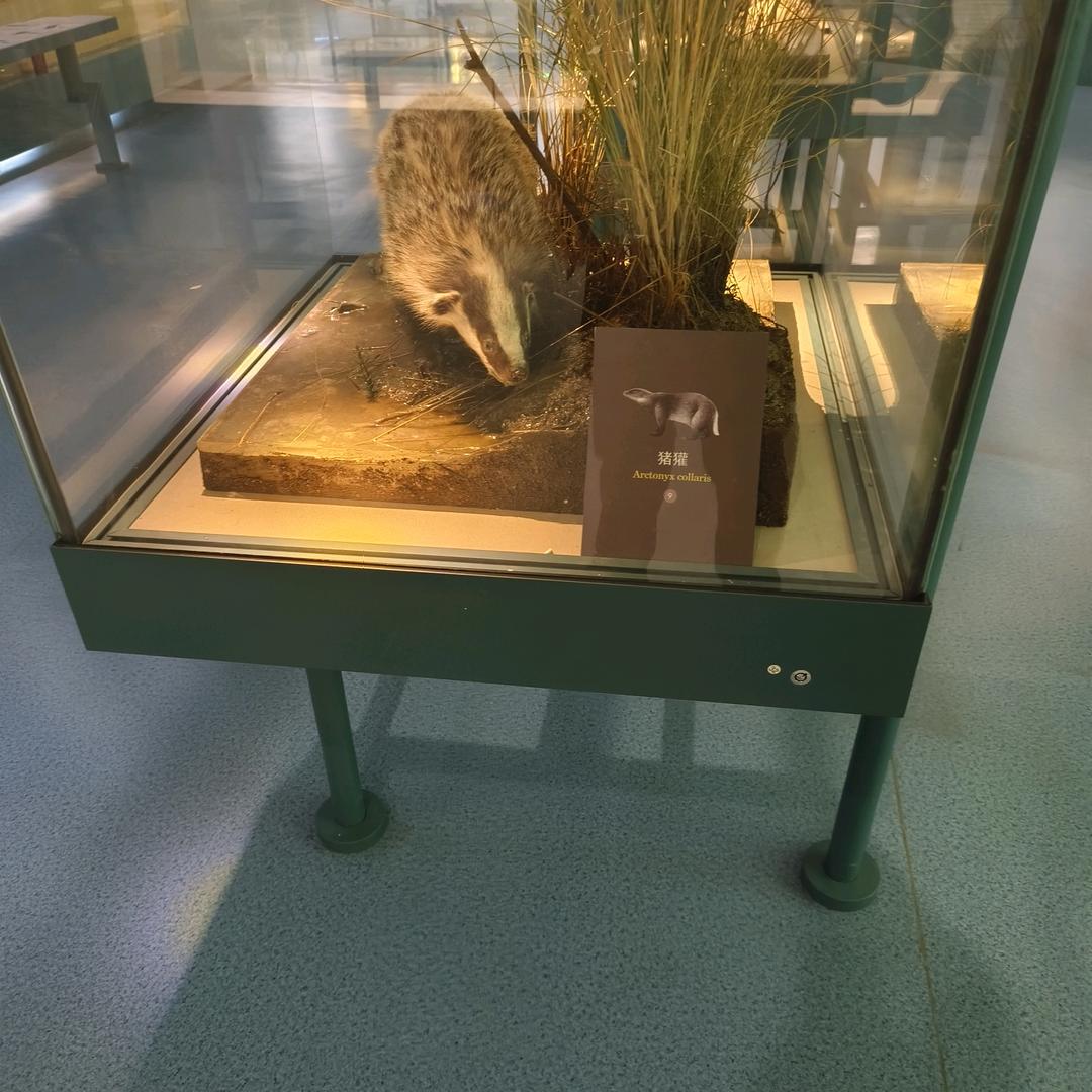 乾坤容我静，万物任他行。