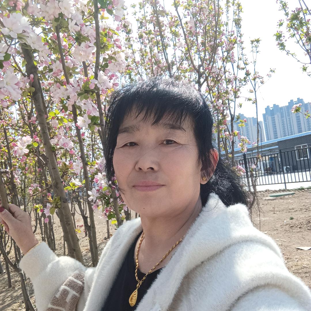 杨同学杨同学