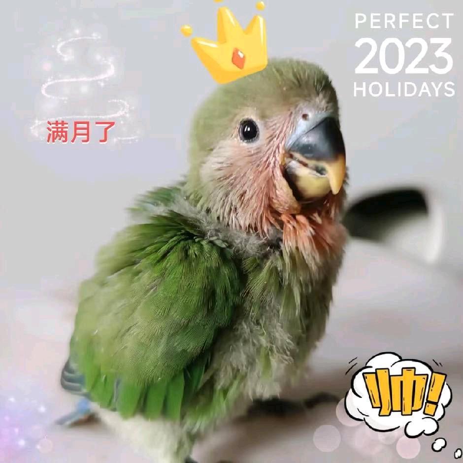 太极八卦掌